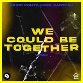 We Could Be Together (VIP Mix) artwork