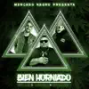 Bien Horniado (feat. Bo Bundy & Jandres) - Single album lyrics, reviews, download