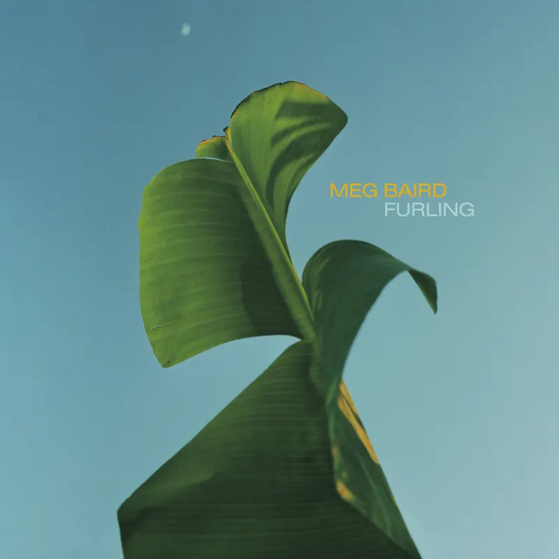 Meg Baird - Furling (2023) [iTunes Plus AAC M4A]-新房子