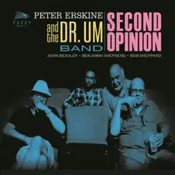 Second Opinion - Peter Erskine Second Opinion - Peter Erskine