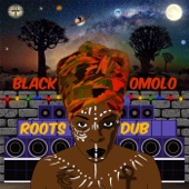 Roots n Dub artwork