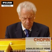 Chopin: Prelude in D minor Op. 28 No.24 artwork