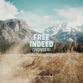 Free Indeed (Wonder) [Live] artwork