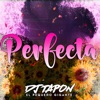 PERFECTA (REMIX) - Single
