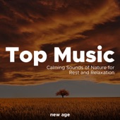 Top Music - Relaxing Music, Calming Sounds of Nature for Rest and Relaxation artwork