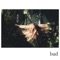 Bud - Single ジャケット写真