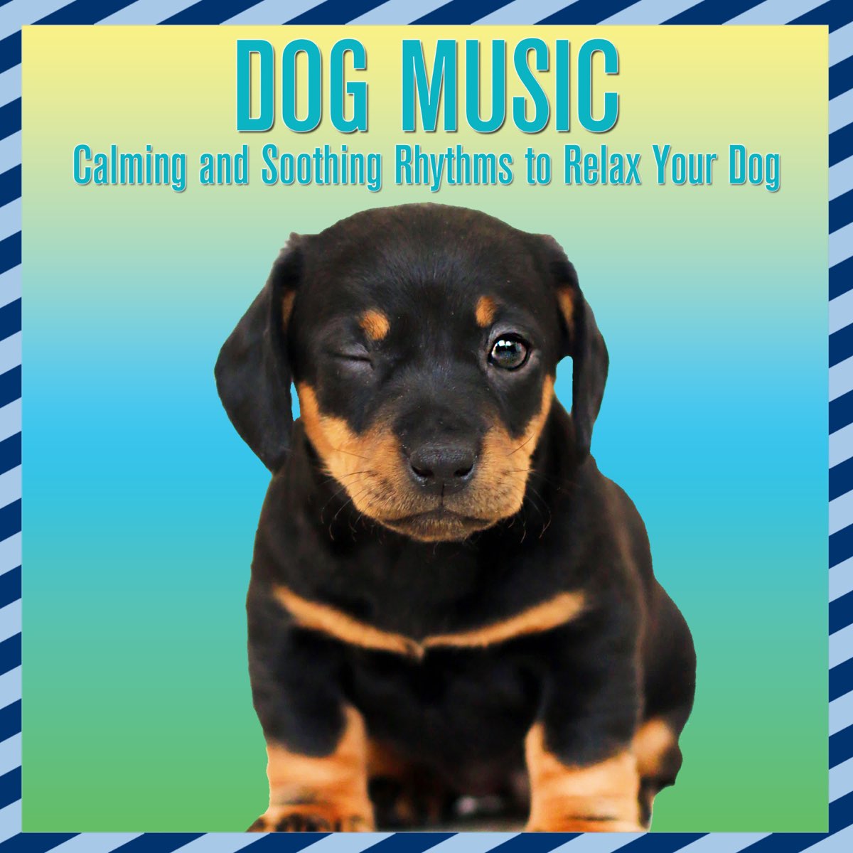 ‎Dog Music: Calming And Soothing Rhythms To Relax Your Dog By Dog Music ...