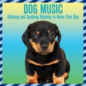 Dog Music: Calming and Soothing Rhythms to Relax Your Dog artwork