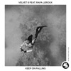 Keep on Falling (feat. Rafa Leroux) - Single