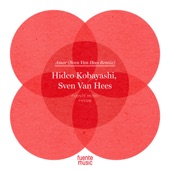 Amor (Sven Van Hees Indian Summer Remix) artwork