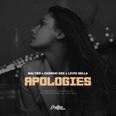 Apologies artwork