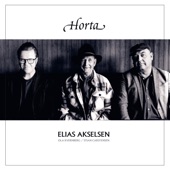 Elias Akselsen - Det var i fjor jag tjena dreng