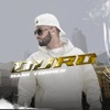Dani Torres - Duro