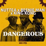 Beenie Man, King Kong, Nuttea & Irie Ites - Dangerous