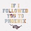 If I Followed You to Phoenix - Single
