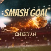 SMASH GOAL artwork