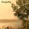 Tranquility - Single album lyrics, reviews, download