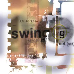 Swing Set - Ani DiFranco