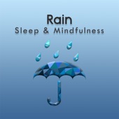 Summer Rain Sleep Relaxation Sounds, Pt. 64 artwork