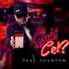 Stream & download Cual Es Tu Cel? - Single