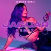 Jaguar (Remix) - Single