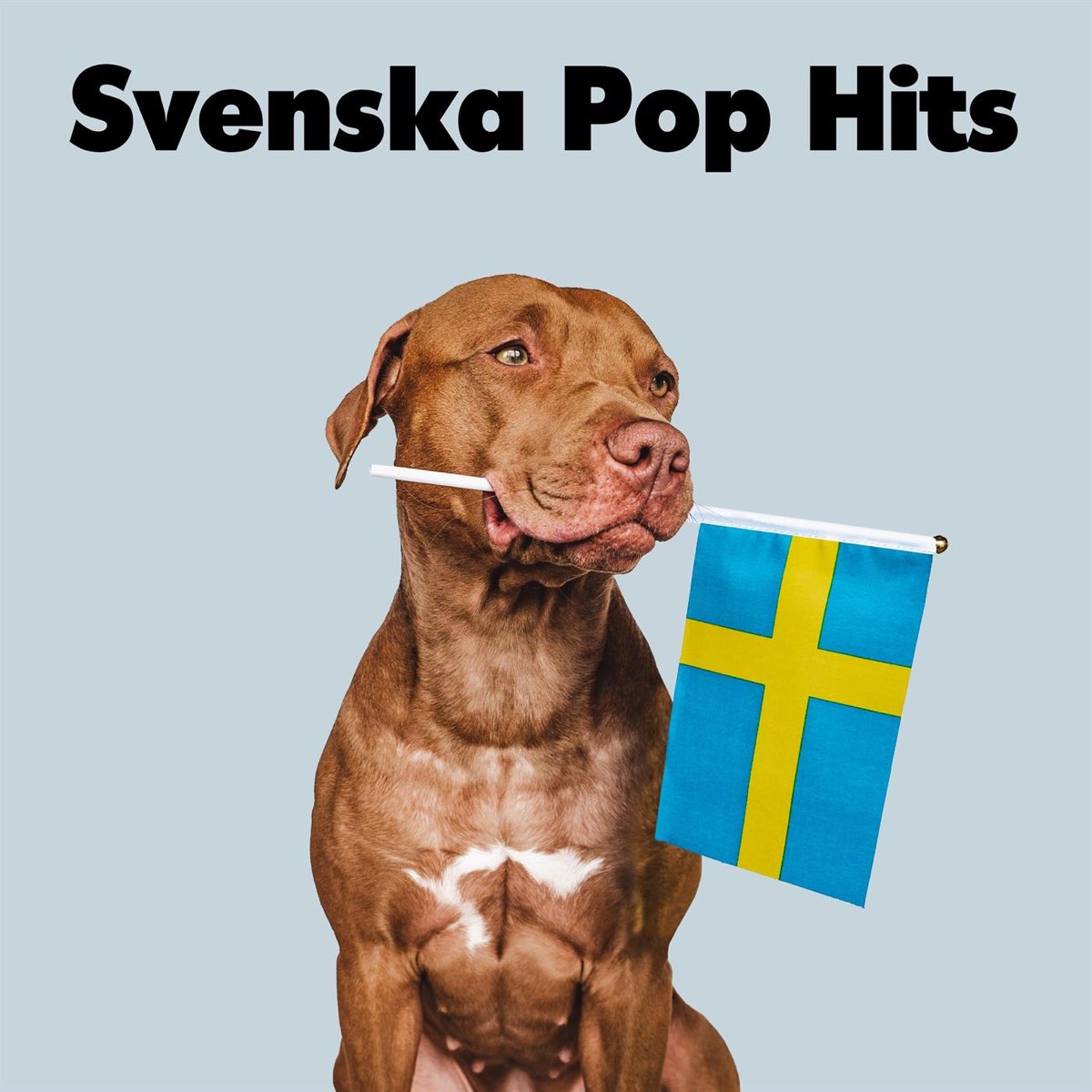 Svenska by Various Artists on Apple Music