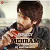 Mehram Lo - Fi Remix by DJ Notorious song lyrics