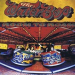 The Waterboys - A Life of Sundays