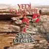 Yedi Karanfil, Vol. 2 (Seven Cloves Enstrumantal) album lyrics, reviews, download