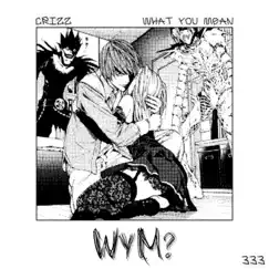 Wym? - Single by Crizz_333 album reviews, ratings, credits