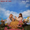 Bale of Hay - Single