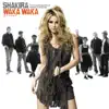 Stream & download Waka Waka (Esto es Africa) [feat. Freshlyground] - Single