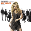 Shakira - Waka Waka (Esto es Africa) [feat. Freshlyground] grafismos