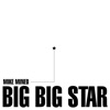 Big Big Star