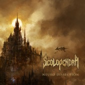 Neuro Dissection - Single