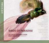 Trois beaux oiseaux du paradis, M. 69 artwork