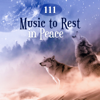 111 Music to Rest in Peace: Songs & Nature Sounds for Deep Sleep, White Noise for Dreaming, Celtic Harp Music, Health, Vitality & Relax the Mind - Peaceful Sleep Music Collection