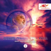 Pranamu Pramukh Swami Pyara artwork