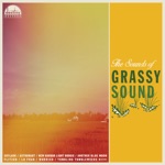 Grassy Sound - Astronaut (feat. Nick Millevoi, Ron Stabinsky & Derrick Bostrom)