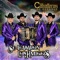 Ni pedro ni pancho (feat. Herencia de cosala) - Los Caballeros de Durango lyrics