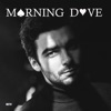 Morning Dove - Single