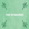 The Standard - Single