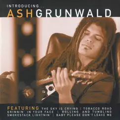 Introducing by Ash Grunwald album reviews, ratings, credits
