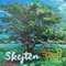 Skejten artwork