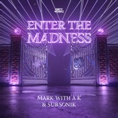 Enter the Madness (Extended Mix) artwork