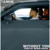 Without You (feat. Marin Hoxha) - Single album lyrics, reviews, download