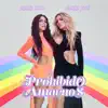 Prohibido Amarnos - Single album lyrics, reviews, download