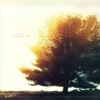 The Silence of the Wisdom Tree - Single