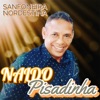 Sanfoneira Nordestina - Single