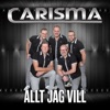 Allt Jag Vill - Single